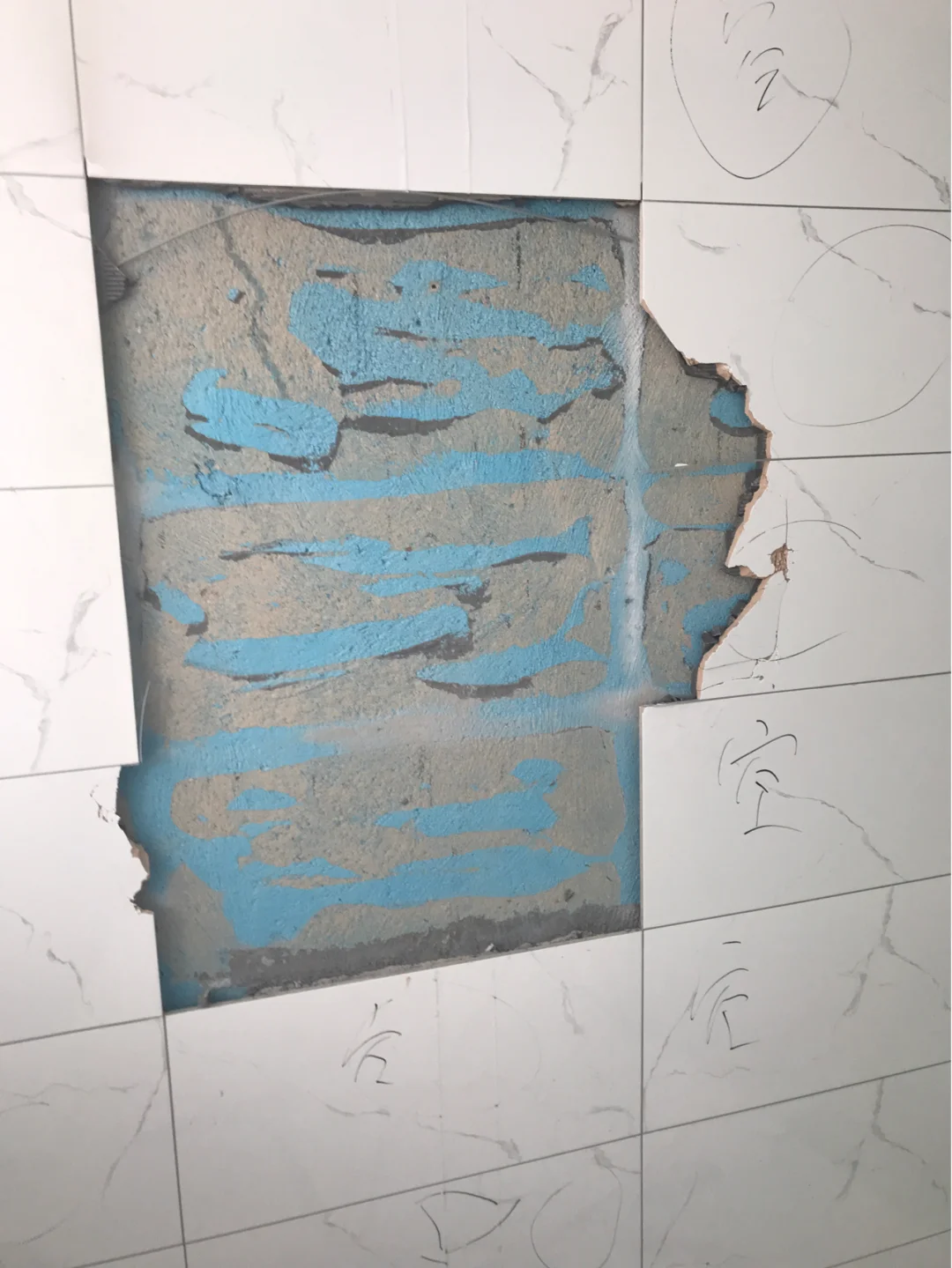 墙上墙砖掉了怎么办(墙上墙砖掉了怎么办呢)